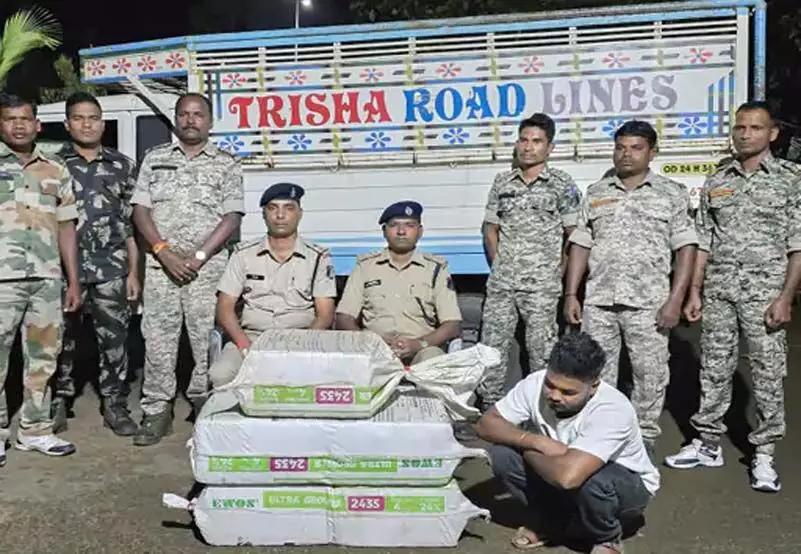 छत्तीसगढ़ में 12 लाख का गांजा बरामद, तस्कर गिरफ्तार