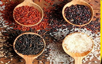 काले, सफेद या भूरे... कौन से चावल हैं सबसे ज्यादा पौष्टिक? जानें विशेषज्ञों की राय