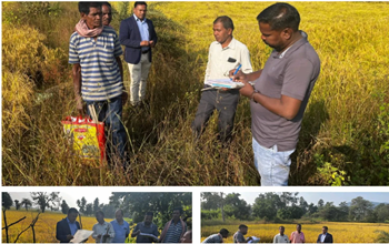 मुख्यमंत्री के निर्देश पर अवैध धान बिक्री पर रोक: कोरबा जिला प्रशासन की सख्ती