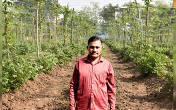 चमत्कारी खेती: न बीमारी, न दवाई, और हर महीने ₹30,000 की कमाई!