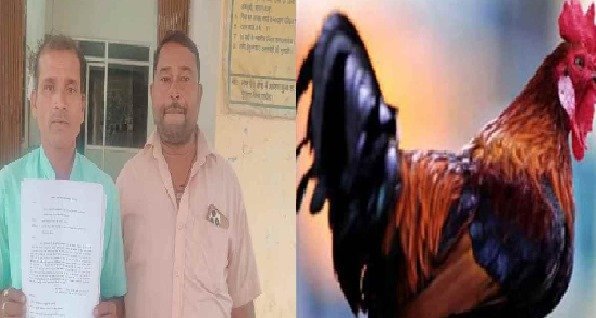 SBI ब्रांच मैनेजर पर किसानों से मुर्गे लेकर लोन न देने का आरोप, FIR दर्ज