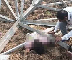 बिजली टावर हादसा: दो भाइयों समेत 4 की दर्दनाक मौत, 5 घायल