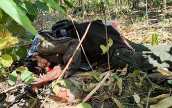 गरियाबंद में सुरक्षाबलों को मिली बड़ी सफलता: 10 नक्सली ढेर, भारी मात्रा में हथियार बरामद