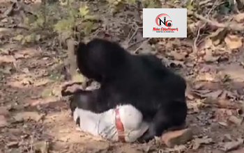 भानुप्रतापपुर में पिता-पुत्र की जान लेने वाले भालू की मौत, जंगल में मिला शव