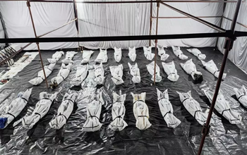 छत्तीसगढ़: बीजापुर में 31 नक्सली ढेर, भारी मात्रा में हथियार बरामद