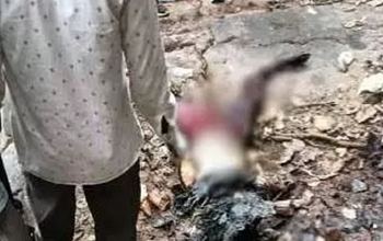 महासमुंद में सनसनी: वाटरफॉल में मिली युवती की सड़ी-गली लाश, पुलिस जांच में जुटी