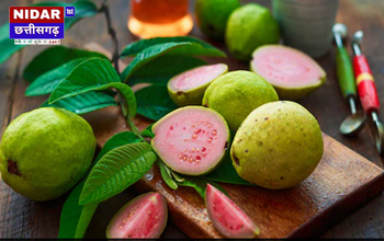 अमरूद की तासीर कैसी होती है? जानें इसे खाने के फायदे और असर!