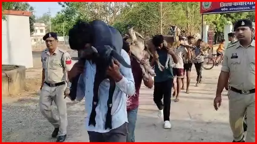 कवर्धा में बकरा-बकरी चोर गिरोह का पर्दाफाश, 7 आरोपी गिरफ्तार, चोरी की 16 बकरियां बरामद