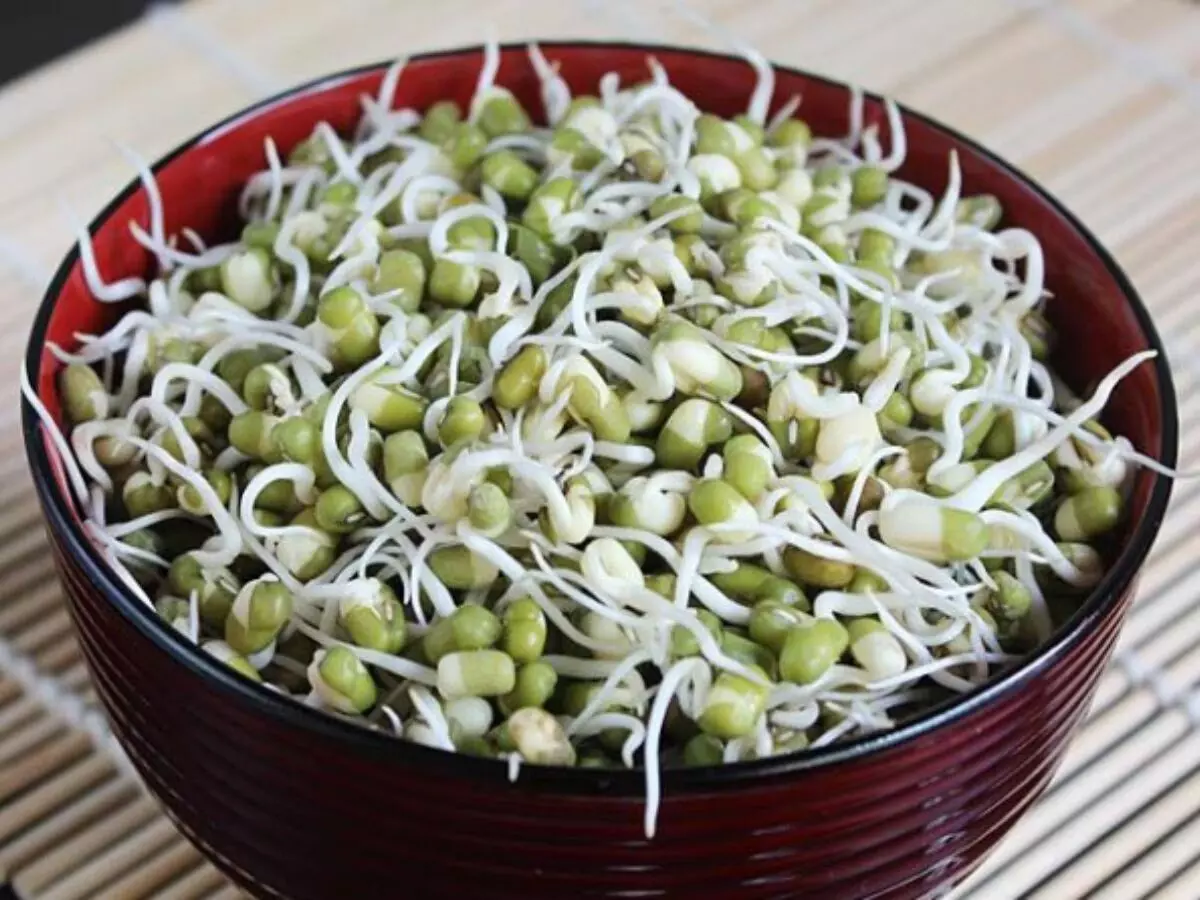 अंकुरित मूंग के स्वास्थ्यवर्धक गुण: ब्लड शुगर से लेकर वजन नियंत्रण तक, जानें 6 अद्भुत फायदे