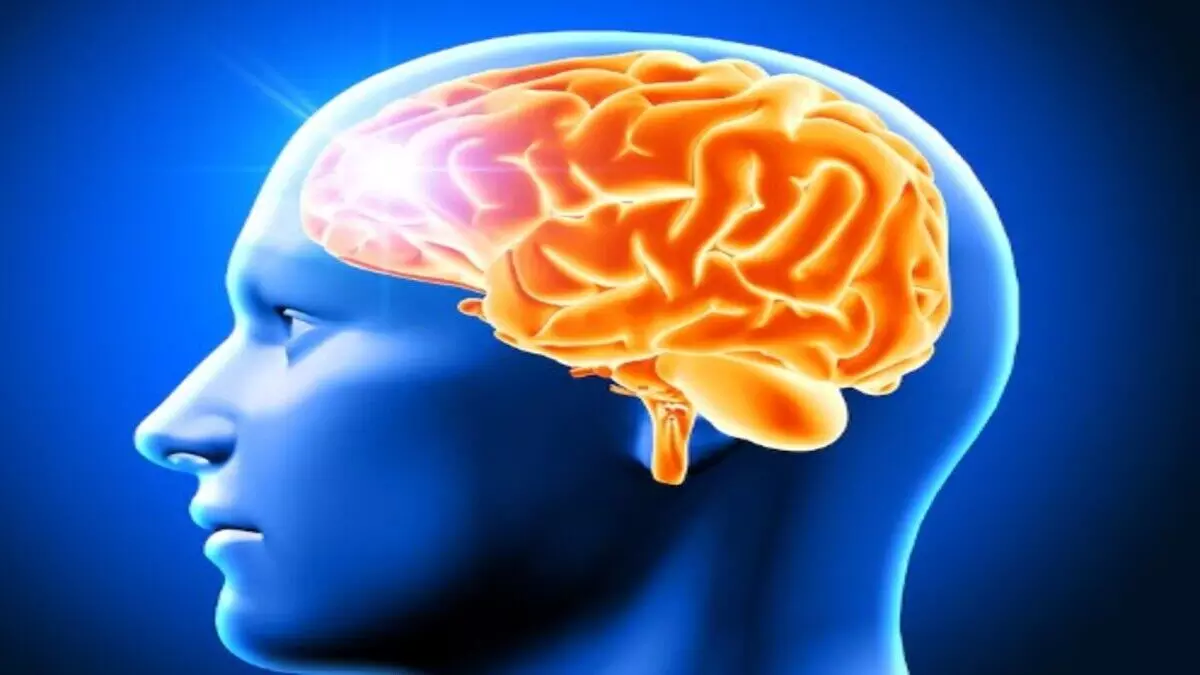 दिमाग हो गया है 'हैंग'? चाबी रखकर भूल जाते हैं तो अपनाएं ये 5 देसी नुस्खे, मेमोरी बनेगी रॉकेट जैसी तेज!