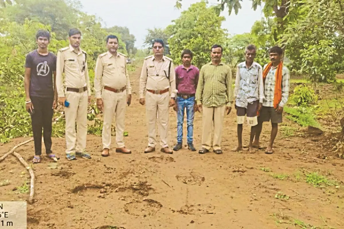 छत्तीसगढ़ में हाथी का आतंक: शराब की गंध से भड़का 'मखाना', युवक को कुचलकर मार डाला, 15 गांवों में हाई अलर्ट