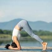 झुके हुए कंधे और पीठ दर्द से हैं परेशान? ये 7 योगासन सुधारेंगे आपका बॉडी पोश्चर और जगाएंगे आत्मविश्वास