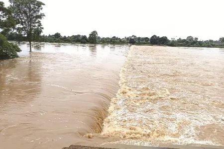 राजनांदगांव में बाढ़ की असली वजह! अधिकारियों की बड़ी चूक से उफनाई शिवनाथ नदी, चेतावनी को किया नजरअंदाज