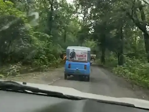 कोरबा में 'रील' का जानलेवा क्रेज: चलती ऑटो पर 'टाइटैनिक पोज', वीडियो वायरल होते ही पुलिस से उठी कार्रवाई की मांग