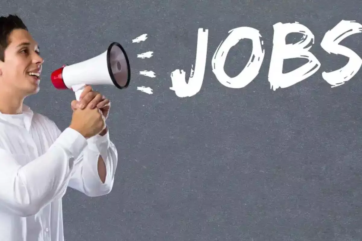 Bank of Baroda में 2500 पदों पर बंपर भर्ती, ग्रेजुएट्स के लिए सरकारी नौकरी का सुनहरा मौका, ऐसे करें आवेदन