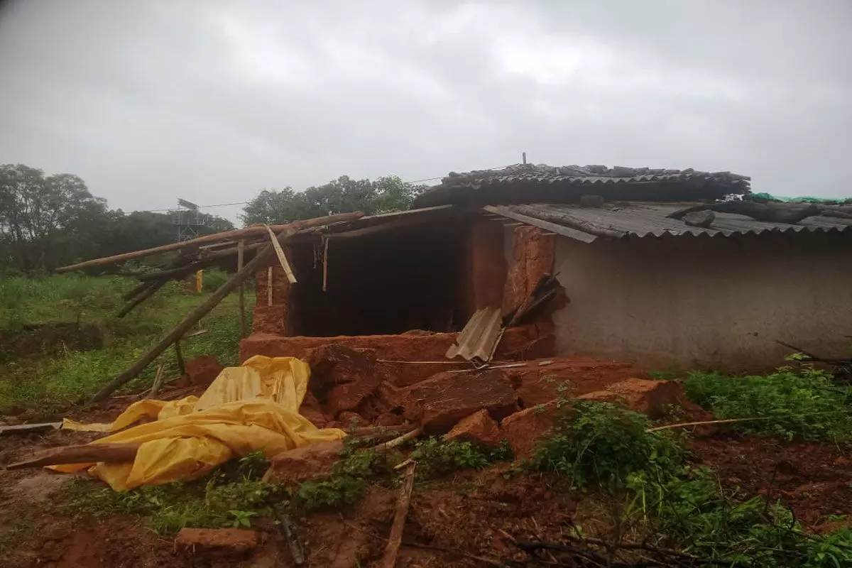 बतौली में हाथियों के झुंड का कहर: रातभर मचाया उत्पात, 7 परिवारों के आशियाने उजाड़े, दहशत में ग्रामीण