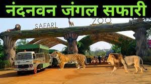 एशिया का सबसे बड़ा मानव-निर्मित जंगल सफारी: छत्तीसगढ़ के नंदनवन में प्रकृति और रोमांच का संगम