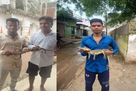 छत्तीसगढ़ का अनोखा गांव: जहां घरों में छिपकली की तरह निकलते हैं मगरमच्छ, पकड़कर वापस पार्क में छोड़ते हैं लोग