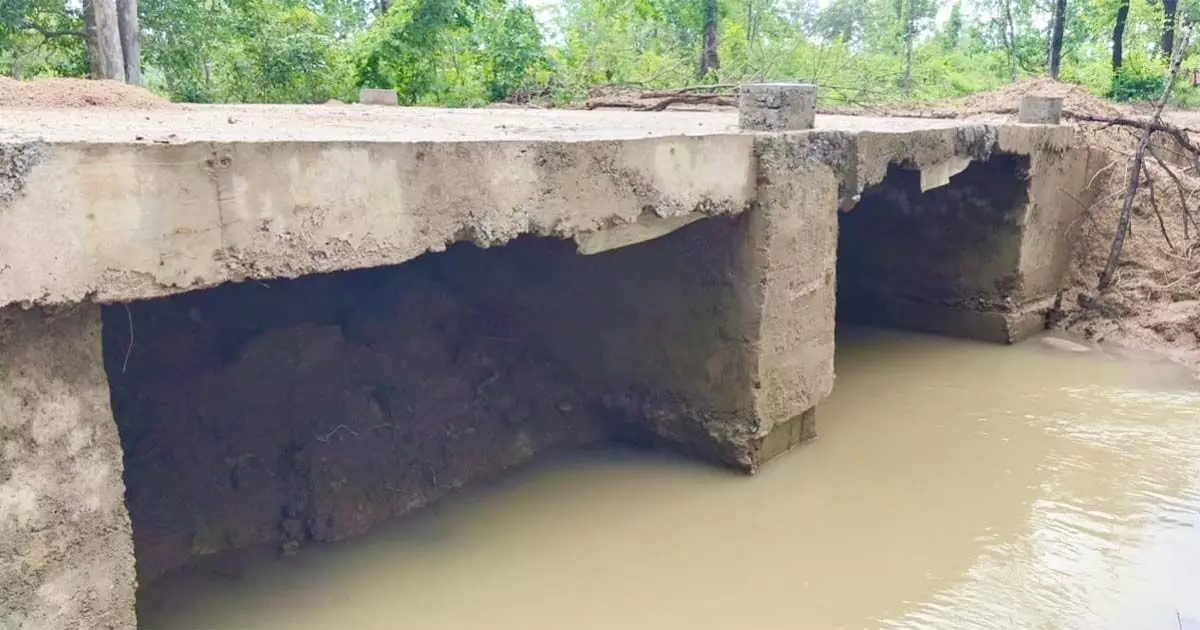 छत्तीसगढ़ में 'जंगल राज' घोटाला: आदिवासियों के 2 करोड़ 'पचा' गए नेता-अफसर, मिट्टी पर ही बना दिया 15 लाख का पुल!