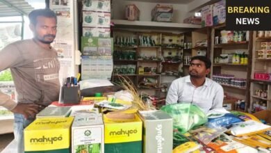 बस्तर में यूरिया का अकाल: 266 रुपये की खाद 1000 में भी नहीं मिल रही, किसान परेशान!