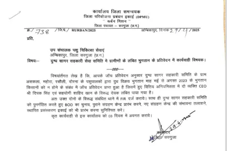 अंबिकापुर में 18 लाख का घोटाला: कलेक्टर के आदेश के 4 महीने बाद भी FIR नहीं, अफसर एक-दूसरे पर डाल रहे जिम्मेदारी