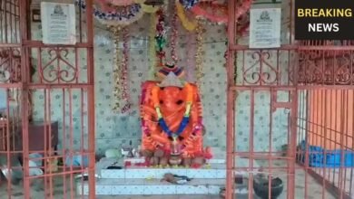 गोपालपुर गांव की अनोखी गणेशोत्सव परंपरा, जहां नहीं स्थापित होती मिट्टी की मूर्तियां!