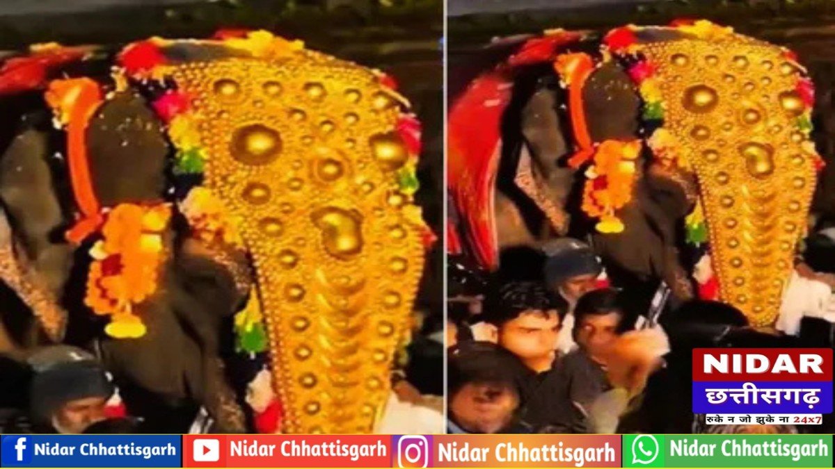 महाराष्ट्र में 'माधुरी' हथिनी के लिए सड़कों पर उतरे लोग, अंबानी के 'वनतारा' भेजने पर भारी बवाल, JIO बहिष्कार की उठी मांग