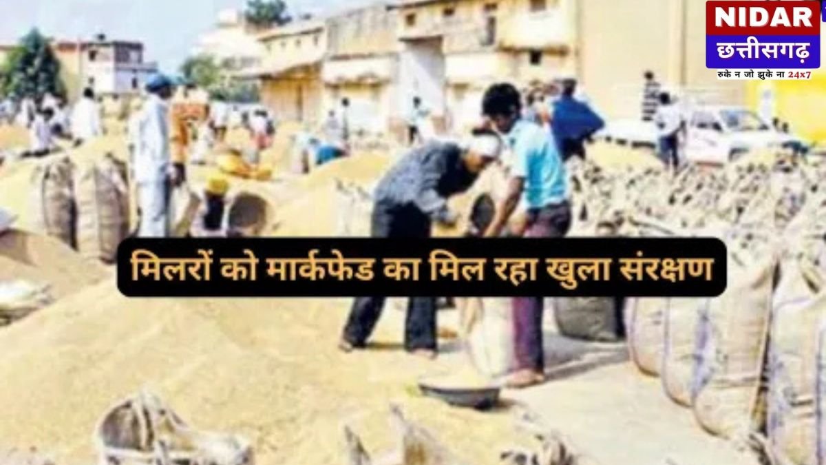 छत्तीसगढ़ में धान पर बड़ा खेल: मिलरों की मनमानी, मार्कफेड की चुप्पी! करोड़ों का सरकारी धान 'भगवान भरोसे', बैंक गारंटी भी हुई एक्सपायर