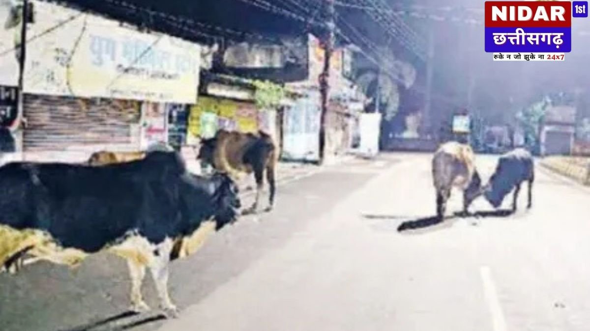 सड़कों पर 'मौत' बनकर घूम रहे आवारा मवेशी: तेज रफ्तार ट्रक ने 4 को रौंदा, प्रशासन की कार्रवाई सिर्फ खानापूर्ति