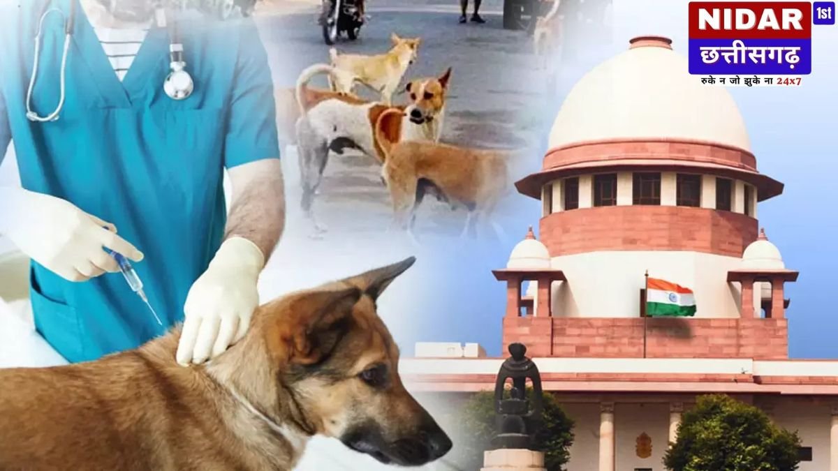 न शेल्टर होम, न सड़कों से हटेंगे आवारा कुत्ते! सुप्रीम कोर्ट का बड़ा फैसला, डॉग लवर्स और RWA के लिए नए नियम जारी