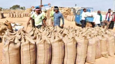 खरीफ 2025-26: धान बेचने के लिए किसान पंजीयन की अंतिम तिथि 31 अक्टूबर 2025