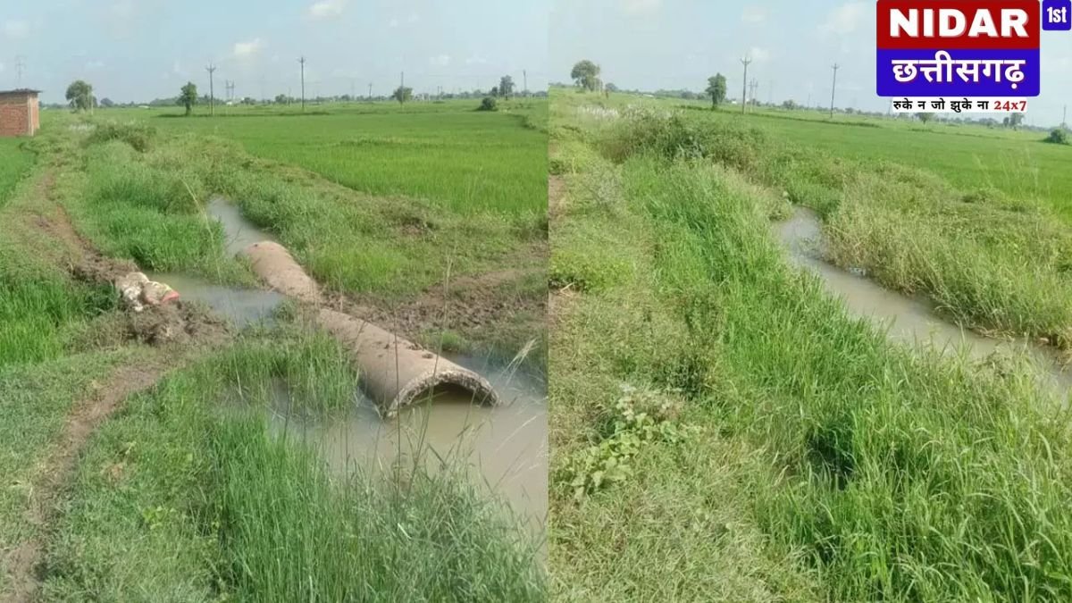 राजिम की नहरें बेहाल: सफाई के नाम पर लाखों का घोटाला, किसान सिंचाई को तरस रहे गरियाबंद जिले के राजिम क्षेत्र में किसानों को इस बार सिंचाई के लिए गंभीर समस्याओं का सामना करना पड़ रहा है। सिंचाई विभाग की लापरवाही और भ्रष्टाचार के चलते नहरें झाड़ियों और घास-फूस से अटी पड़ी हैं, जिससे पानी का बहाव अवरुद्ध हो गया है। मरम्मत और साफ-सफाई के लिए आवंटित लाखों रुपये कथित तौर पर कागजों पर ही खर्च हो रहे हैं, जबकि जमीनी हकीकत कुछ और ही बयां कर रही है। नहरों का बुरा हाल, पानी की किल्लत राजिम क्षेत्र की नहरें पूरी तरह से घास और झाड़ियों से ढकी हुई हैं, जिससे पानी की गति धीमी हो गई है। कई स्थानों पर नहरों के किनारे के रास्ते भी इतने खराब हो चुके हैं कि किसानों का आवागमन मुश्किल हो गया है। संवाददाता द्वारा की गई पड़ताल में यह साफ हुआ कि विभाग द्वारा कोई मरम्मत कार्य नहीं कराया गया है, बल्कि मरम्मत के नाम पर मिलने वाले फंड का बंदरबांट कर लिया गया है। लाखों के फंड का दुरुपयोग हर साल सिंचाई विभाग को नहरों के रखरखाव और मरम्मत के लिए लाखों रुपये मिलते हैं, लेकिन इन फंड का उपयोग काम में न होकर व्यक्तिगत लाभ के लिए किया जा रहा है। कई छोटी नहरों में लाइनिंग का काम भी अधूरा है, जिससे दूर-दराज के खेतों तक पानी नहीं पहुंच पा रहा है। किसानों में गहरा आक्रोश राजिम, पीपरछेड़ी, बेलटुकरी, भैंसातरा, कौदकेरा, देवरी, जेंजरा जैसे कई गांवों के किसान इस स्थिति से बेहद नाराज हैं। जेंजरा के किसानों, राजेंद्र साहू, सोमनाथ साहू और भुवन साहू ने बताया कि सिंचाई विभाग सालों से नहरों की सफाई पर ध्यान नहीं दे रहा है, जिससे टेल एरिया तक पानी नहीं पहुंच पाता। किसान यह सवाल उठा रहे हैं कि साफ-सफाई के लिए स्वीकृत राशि आखिर जाती कहाँ है। अधिकारियों की चुप्पी और लापरवाही इस मामले पर प्रतिक्रिया लेने के लिए राजिम सब डिवीजन के एसडीओ से कई बार संपर्क करने की कोशिश की गई, लेकिन उन्होंने फोन नहीं उठाया। उनके घर से बताया गया कि वे बाजार गए हुए हैं। जिले के अन्य अधिकारी भी अक्सर फोन उठाने या जानकारी देने से बचते हैं, जिससे आम जनता को सही जानकारी नहीं मिल पाती है। राजिम सब डिवीजन की बदहाली गरियाबंद जिले का राजिम क्षेत्र धान की खेती के लिए प्रसिद्ध है, जिसकी सिंचाई सिकासार जलाशय और कुकदा पैरी पिकअप वियर से होती है। बाई और दाई कैनाल से लाखों हेक्टेयर जमीन सींची जाती है। हालांकि, दाई कैनाल से निकलने वाली छोटी नहरों की हालत बेहद खराब है। 12-15 साल पहले करोड़ों रुपये की लागत से किया गया स्लीपर का काम भी कई जगहों पर अधूरा पड़ा है। फिंगेश्वर सब डिवीजन में भी इसी तरह का एक मामला सामने आया था, जब सूचना के अधिकार के तहत एक किसान ने लाखों रुपये के घोटाले का पर्दाफाश किया था। इससे राजिम क्षेत्र के किसान भी अब सचेत हो गए हैं। एसडीओ का चौंकाने वाला बयान: "इस साल मरम्मत के लिए कोई पैसा नहीं आया" राजिम सब डिवीजन के एसडीओ से संपर्क करने पर उन्होंने अगले दिन सुबह फोन करके बताया कि "इस साल तो कोई पैसा आया ही नहीं।" यह बयान विभाग द्वारा हर साल लाखों रुपये आवंटित किए जाने के दावों पर सवाल खड़ा करता है और किसानों के गुस्से को और बढ़ा सकता है।