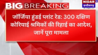 जॉर्जिया हुंडई प्लांट रेड: 300 दक्षिण कोरियाई श्रमिकों की रिहाई का आदेश, जानें पूरा मामला