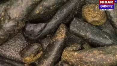 नोएडा में 1.5 करोड़ की चरस के साथ BCA छात्र गिरफ्तार, शेयर बाजार में लगाता था पैसा!