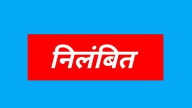 बैठक में अनुशासनहीनता पर पटवारी निलंबित, एसडीएम से कहा – “जो करना है कर लो”