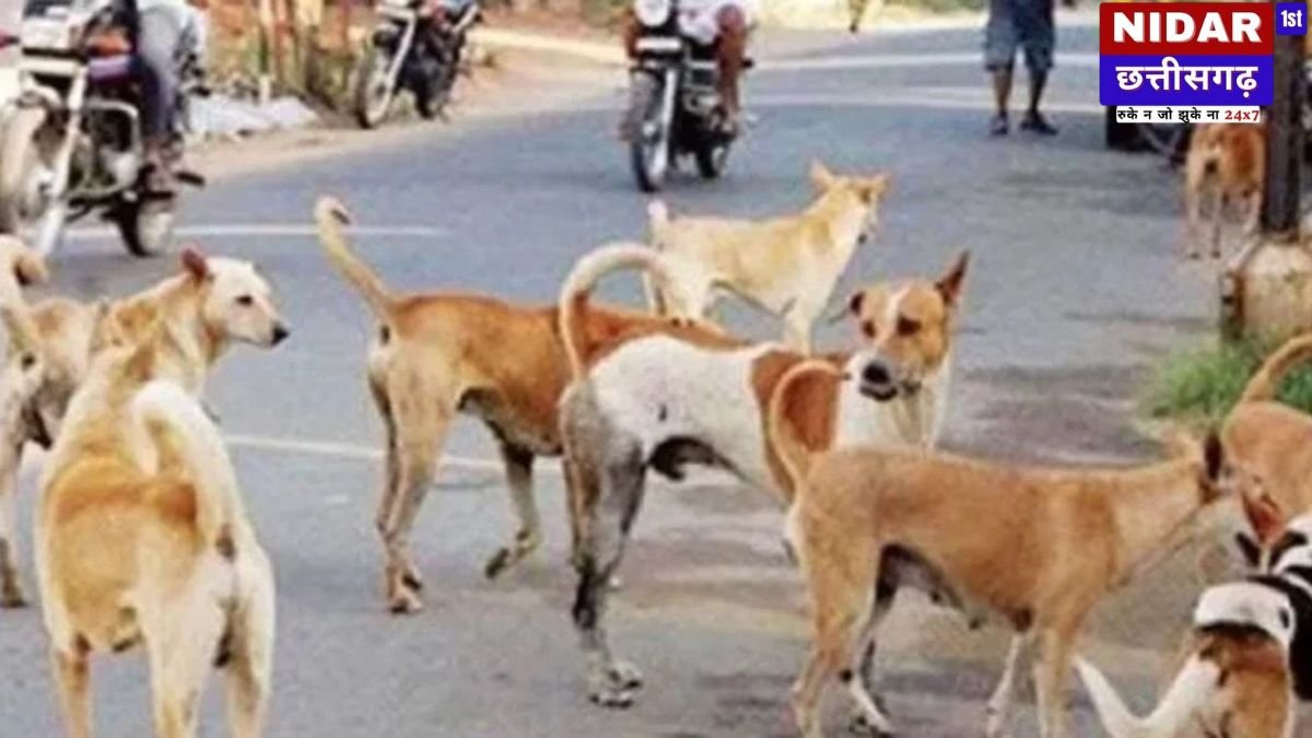 स्कूलों में अब आवारा कुत्तों से निपटने की जिम्मेदारी प्राचार्यों पर, DPI ने जारी किया नया फरमान