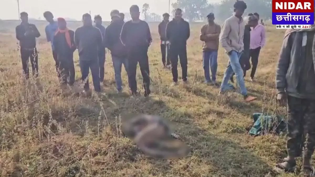 कोरिया में हाथियों का तांडव: 11 के झुंड ने बुजुर्ग को कुचलकर मार डाला, रेलवे ट्रैक के पास हुआ हादसा