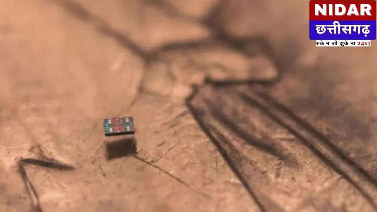 मेडिकल साइंस का सबसे बड़ा चमत्कार: नमक के दाने से भी छोटा रोबोट, जो शरीर की नसों में घुसकर करेगा इलाज