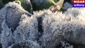 Ambikapur Weather Update: छत्तीसगढ़ में कड़ाके की ठंड: अंबिकापुर में टूटा रिकॉर्ड, मैनपाट में जमने लगी बर्फ, 31 दिसंबर तक रेड अलर्ट जारी