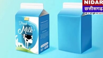 Packaged Milk Alert: क्या आप भी पैकेट वाले दूध को उबालकर पीते हैं? सावधान! फायदे की जगह हो सकता है भारी नुकसान