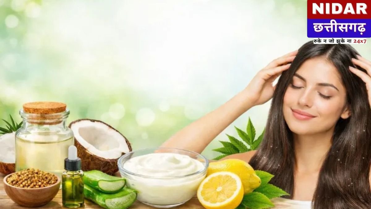 Scalp Care Tips: Dandruff and Itchy Scalp से हैं परेशान? अपनाएं ये Best Hair Care Routine, बाल बनेंगे Shiny और Strong!