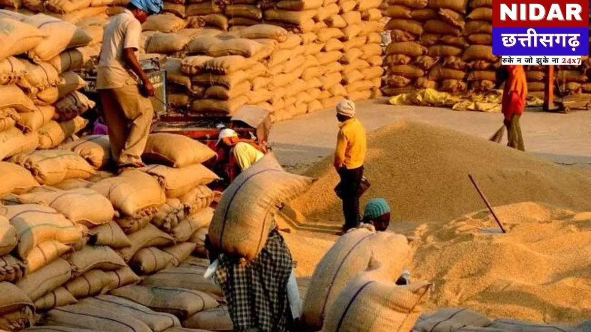 Chhattisgarh Paddy Procurement: धान खरीदी में गड़बड़ी करने वालों की अब खैर नहीं! CM साय का कड़ा एक्शन, Bemetara में बड़ा अधिकारी सस्पेंड