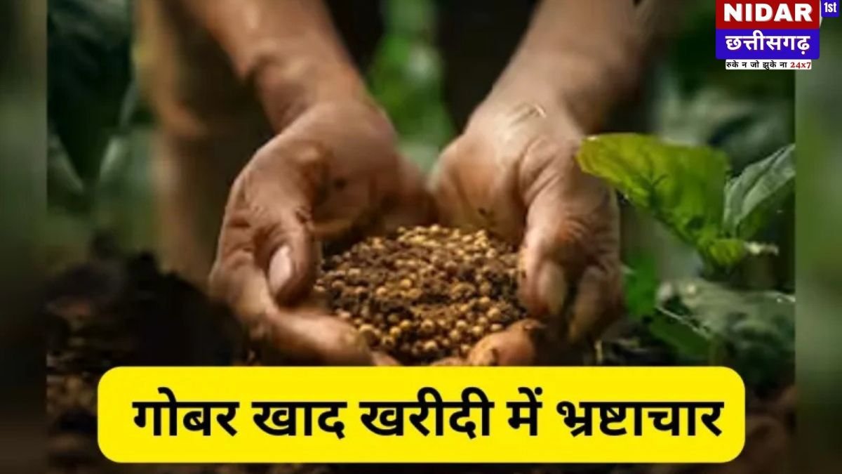 Headline: Chhattisgarh Cow Dung Scam: फर्जी साइन और फर्जी बिल! गोबर खरीदी के नाम पर ₹14.77 लाख का गबन, जांच के घेरे में बड़े अधिकारी!