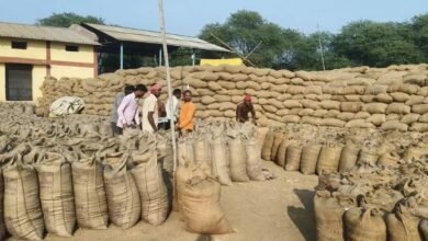 Balodabazar Paddy Procurement: बिचौलियों पर चला प्रशासन का हंटर, 9057 क्विंटल अवैध धान जब्त; किसानों में खुशी की लहर