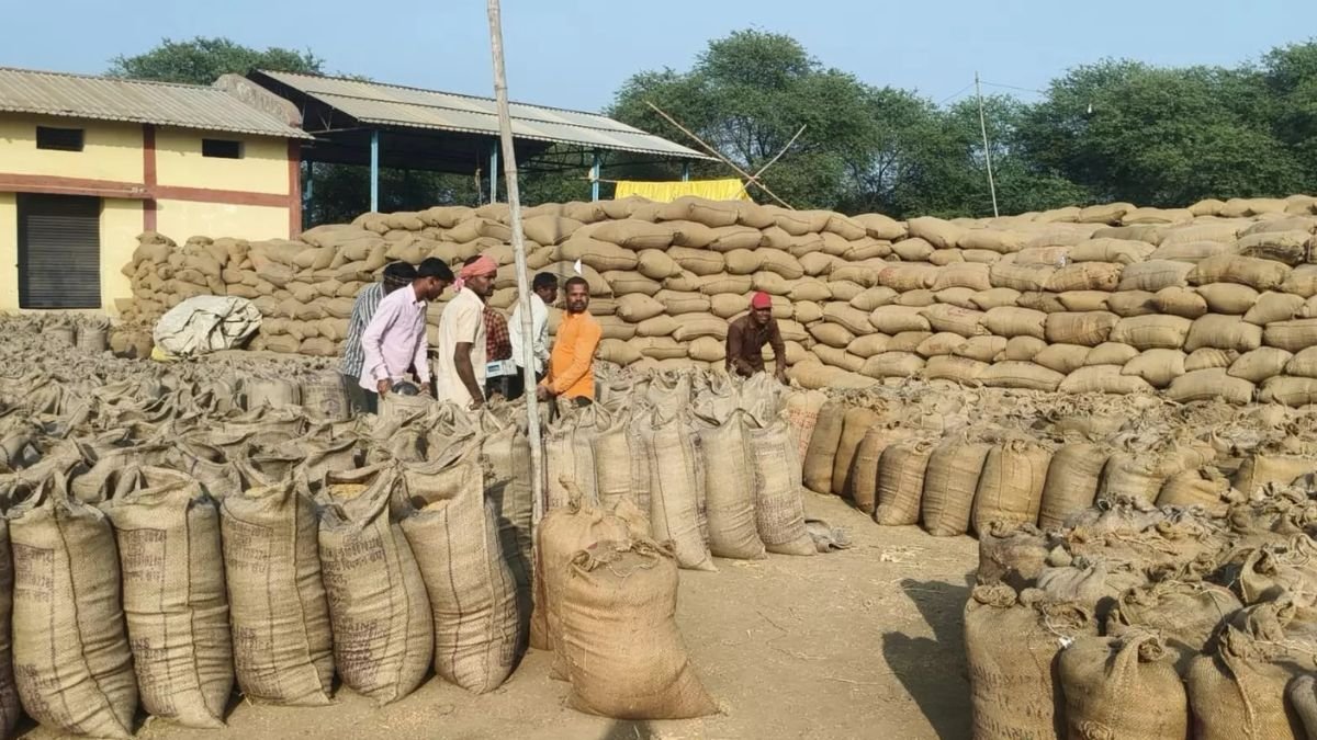Balodabazar Paddy Procurement: बिचौलियों पर चला प्रशासन का हंटर, 9057 क्विंटल अवैध धान जब्त; किसानों में खुशी की लहर
