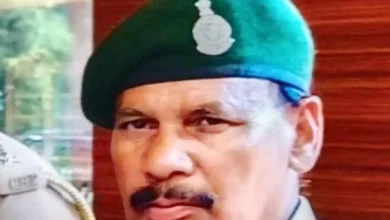 Chhattisgarh Forest Land Scam: रेंजर के साये में 'भू-माफिया' का खेल! जंगल काटकर बना डाले 30 घर, वन विभाग की चुप्पी पर उठे सवाल