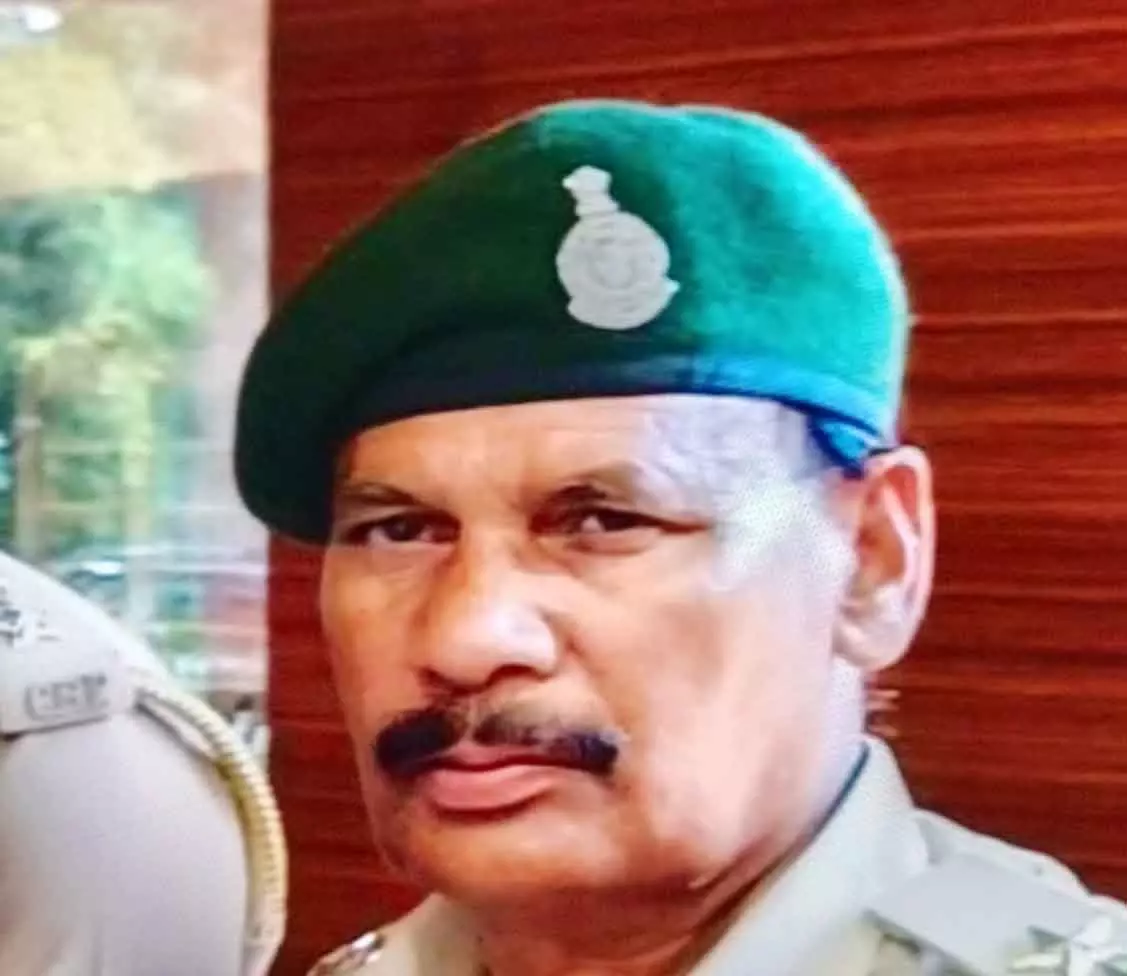 Chhattisgarh Forest Land Scam: रेंजर के साये में 'भू-माफिया' का खेल! जंगल काटकर बना डाले 30 घर, वन विभाग की चुप्पी पर उठे सवाल