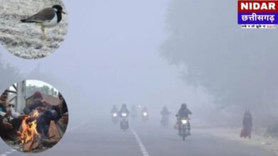 CG Weather Update: छत्तीसगढ़ में मौसम का 'Double Game'! पहले कड़ाके की ठंड, फिर होगी झमाझम बारिश; जानें IMD का Latest Alert