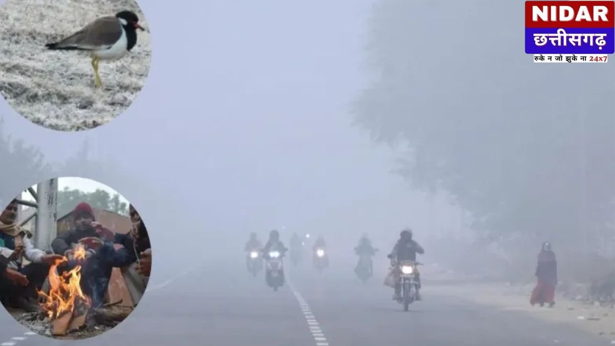 CG Weather Update: छत्तीसगढ़ में मौसम का 'Double Game'! पहले कड़ाके की ठंड, फिर होगी झमाझम बारिश; जानें IMD का Latest Alert