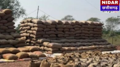 Balod Dhan Kharidi Update: 10 हजार किसानों की बढ़ी टेंशन, टारगेट से 12 लाख क्विंटल कम हुई धान खरीदी